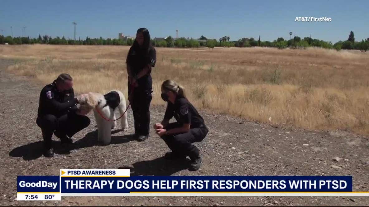 Group provides therapy dogs for first responders